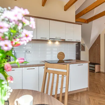 Апартаменты Kamieniec 7 *