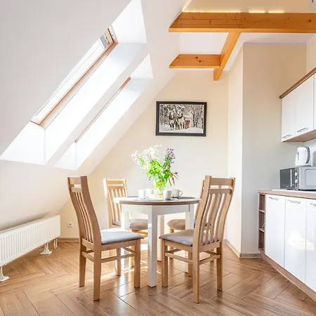 Апартаменты Kamieniec 7 *